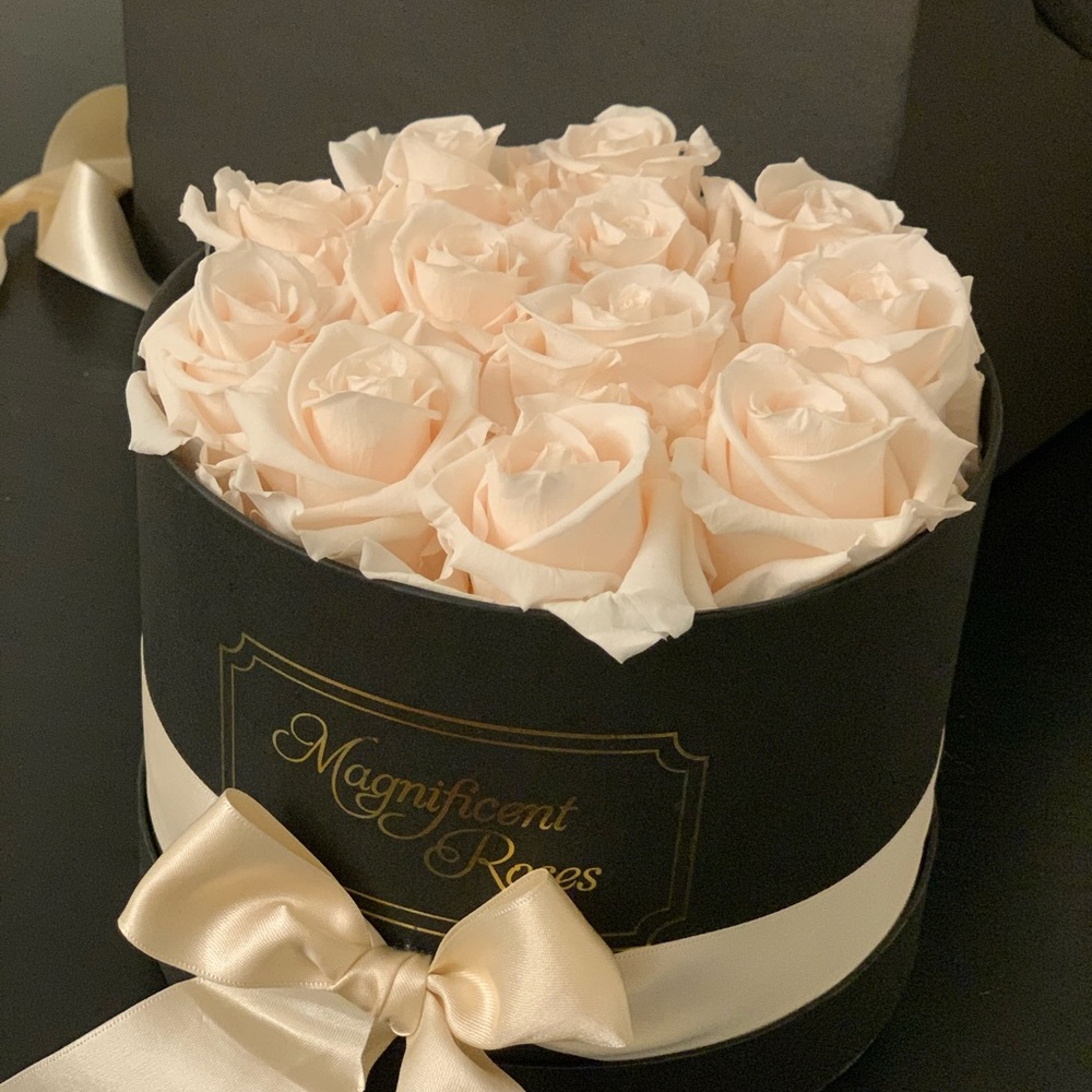 Magnificent Roses preserved light pink roses